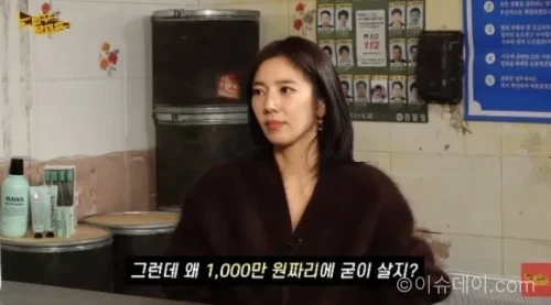 손담비